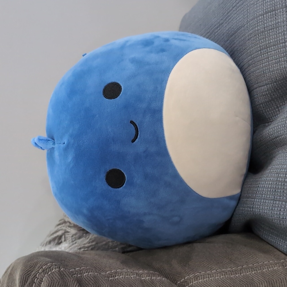 Brody the blue dinosaur squishmallow